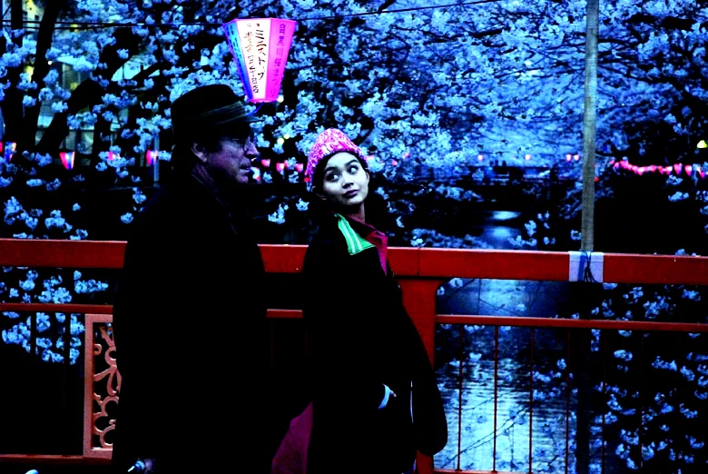 Photo 4 du film : Cherry blossoms - Hanami