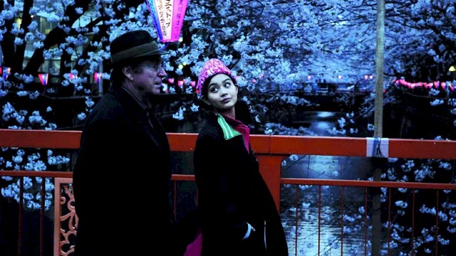 Photo 4 du film : Cherry blossoms - Hanami
