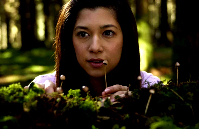 Photo 2 du film : Shrooms