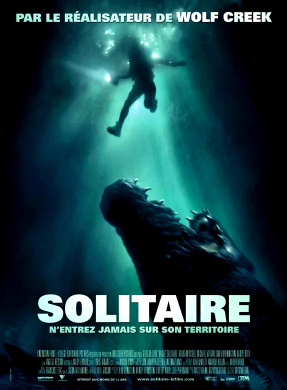 Affiche du film : Solitaire