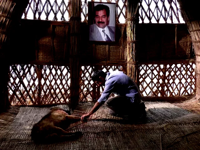 Photo du film : L'aube du monde
