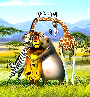 Photo 2 du film : Madagascar 2