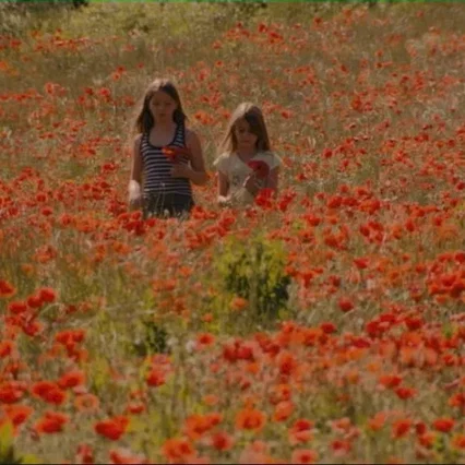 Miniature photo du film : Nos enfants nous accuseront