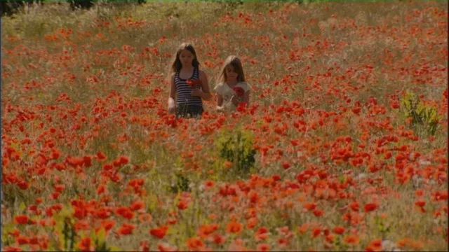 Photo 5 du film : Nos enfants nous accuseront
