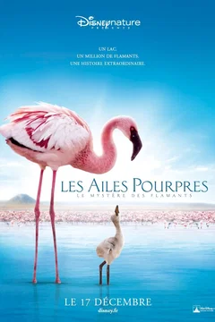 Affiche du film Les Ailes pourpres : Le mystère des flamants