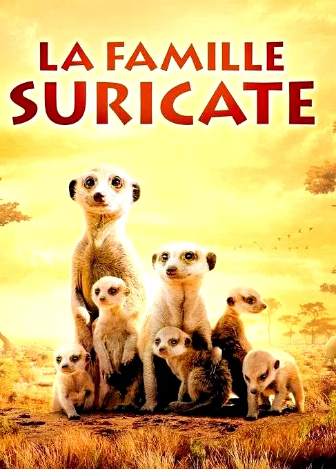 Affiche du film : La famille Suricate