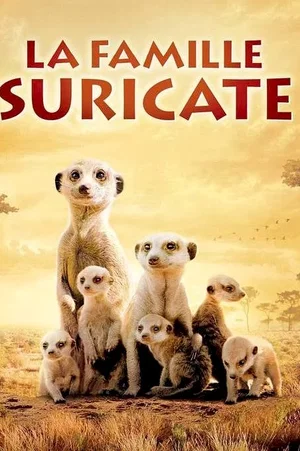 Affiche du film : La famille Suricate