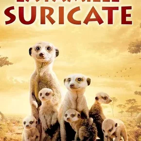 Photo du film : La famille Suricate