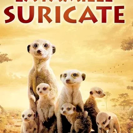 Miniature photo du film : La famille Suricate