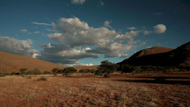 Photo 20 du film : La famille Suricate