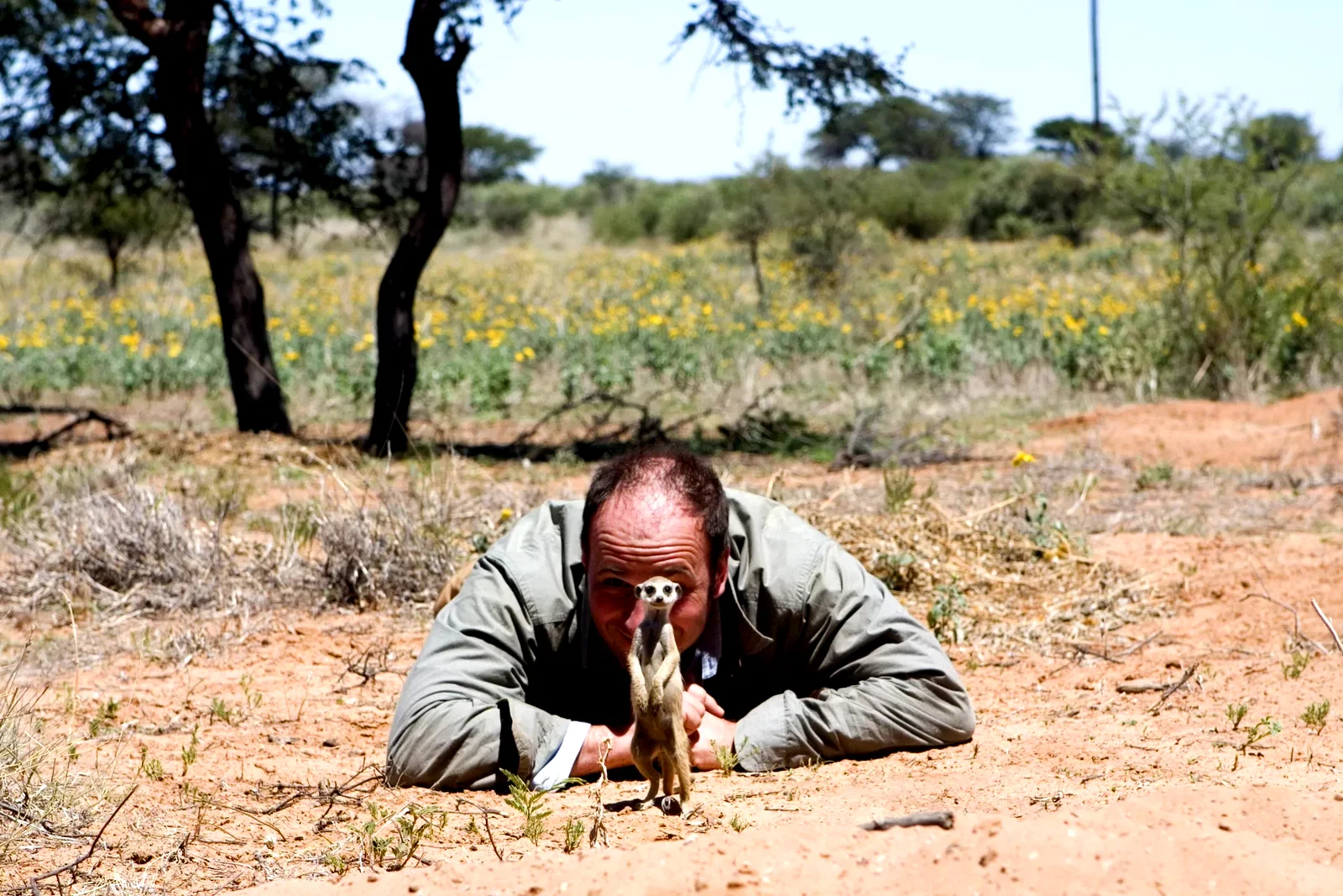 Photo 19 du film : La famille Suricate