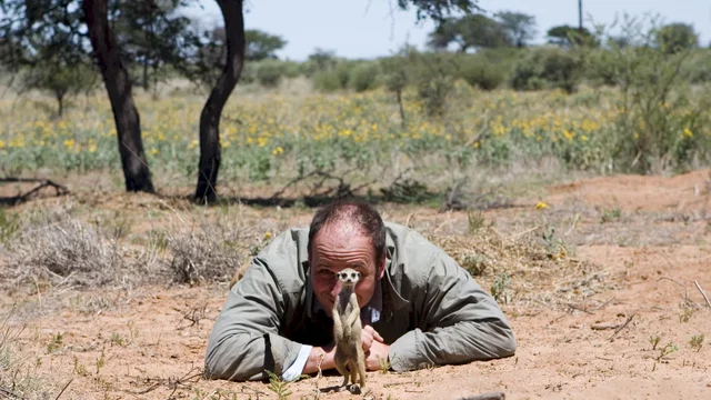 Photo 19 du film : La famille Suricate