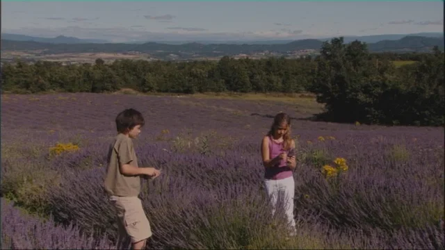 Photo 3 du film : Nos enfants nous accuseront