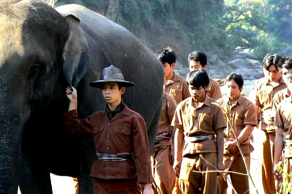 Photo 3 du film : Sunny et l'éléphant 