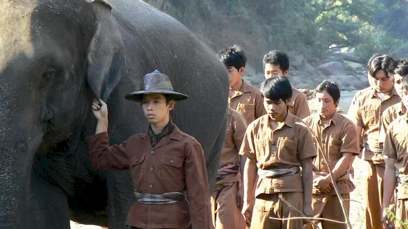 Photo 3 du film : Sunny et l'éléphant 