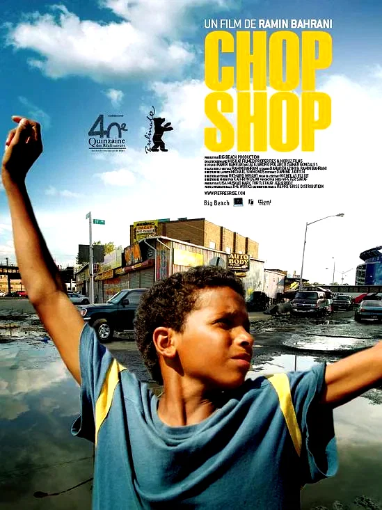 Affiche du film : Chop shop
