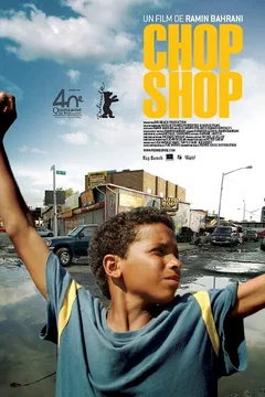 Affiche du film Chop shop