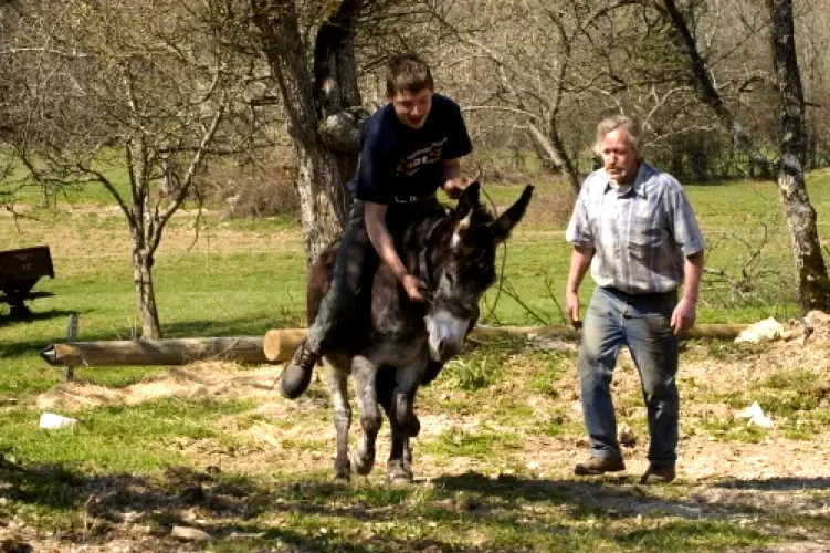 Photo 6 du film : L'Apprenti