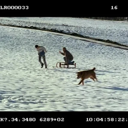 Miniature photo du film : L'Apprenti
