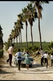 Photo 10 du film : Mes plus belles années