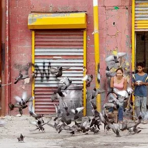 Photo du film : Chop shop