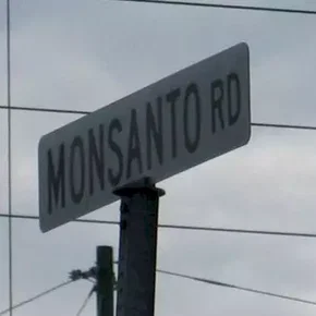 Photo du film : Le Monde selon Monsanto