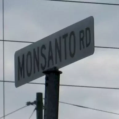 Miniature photo du film : Le Monde selon Monsanto