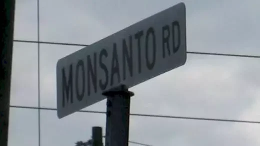 Photo 2 du film : Le Monde selon Monsanto