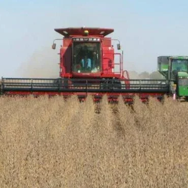 Miniature photo du film : Le Monde selon Monsanto