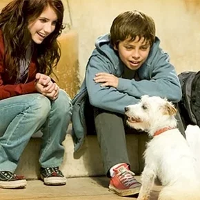 Photo du film : Palace pour chiens
