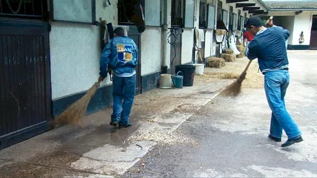 Photo 9 du film : Lads & jockeys 