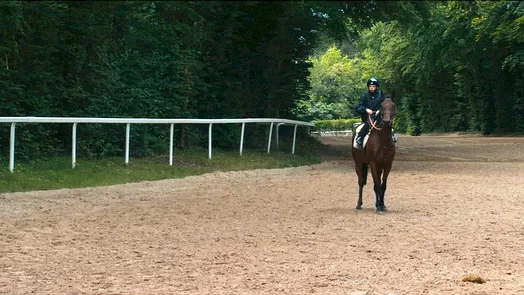 Photo 10 du film : Lads & jockeys 