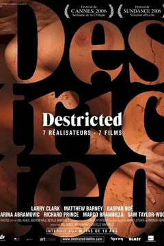 Affiche du film Destricted