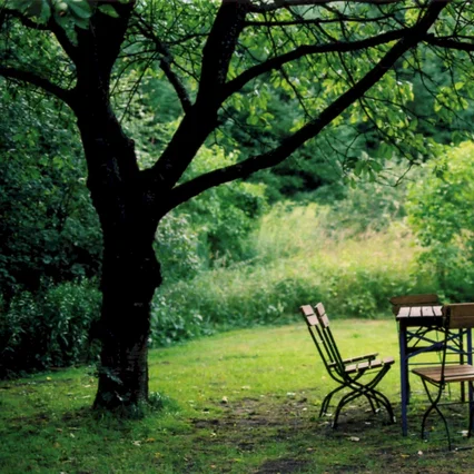 Photo 5 du film : Ferien, chronique d'un été