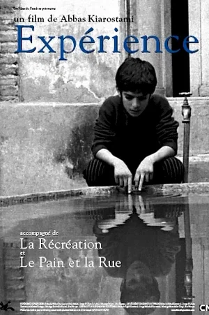 Affiche du film : Experience