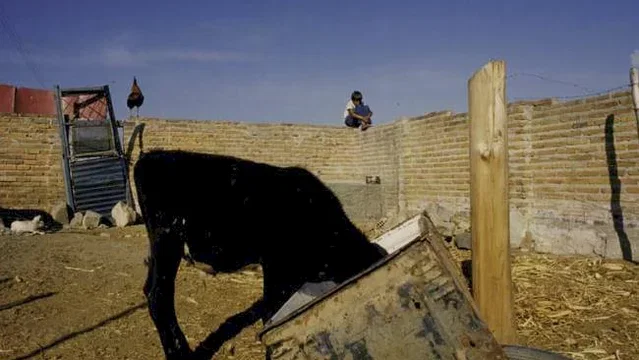 Photo 5 du film : Puisque nous sommes nés