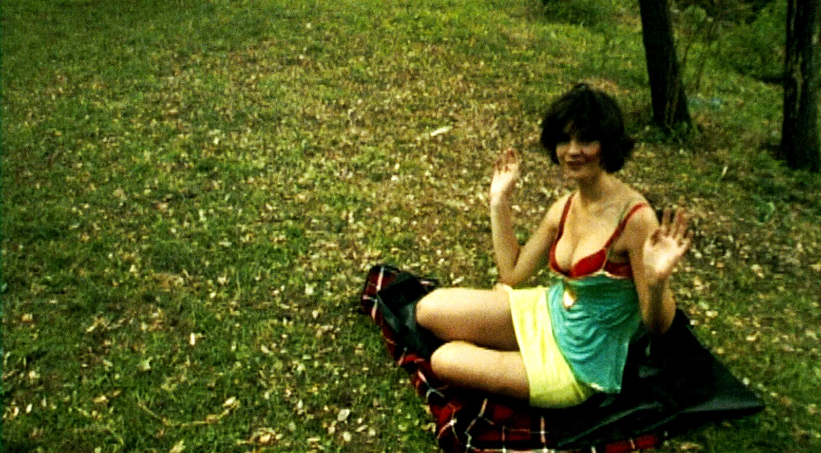 Photo 5 du film : Picnic