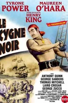 Affiche du film Le cygne noir
