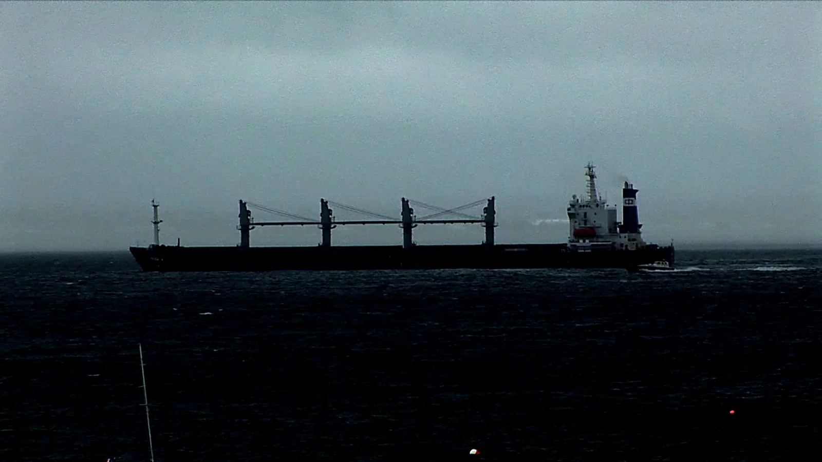 Photo 4 du film : Herbe, le film