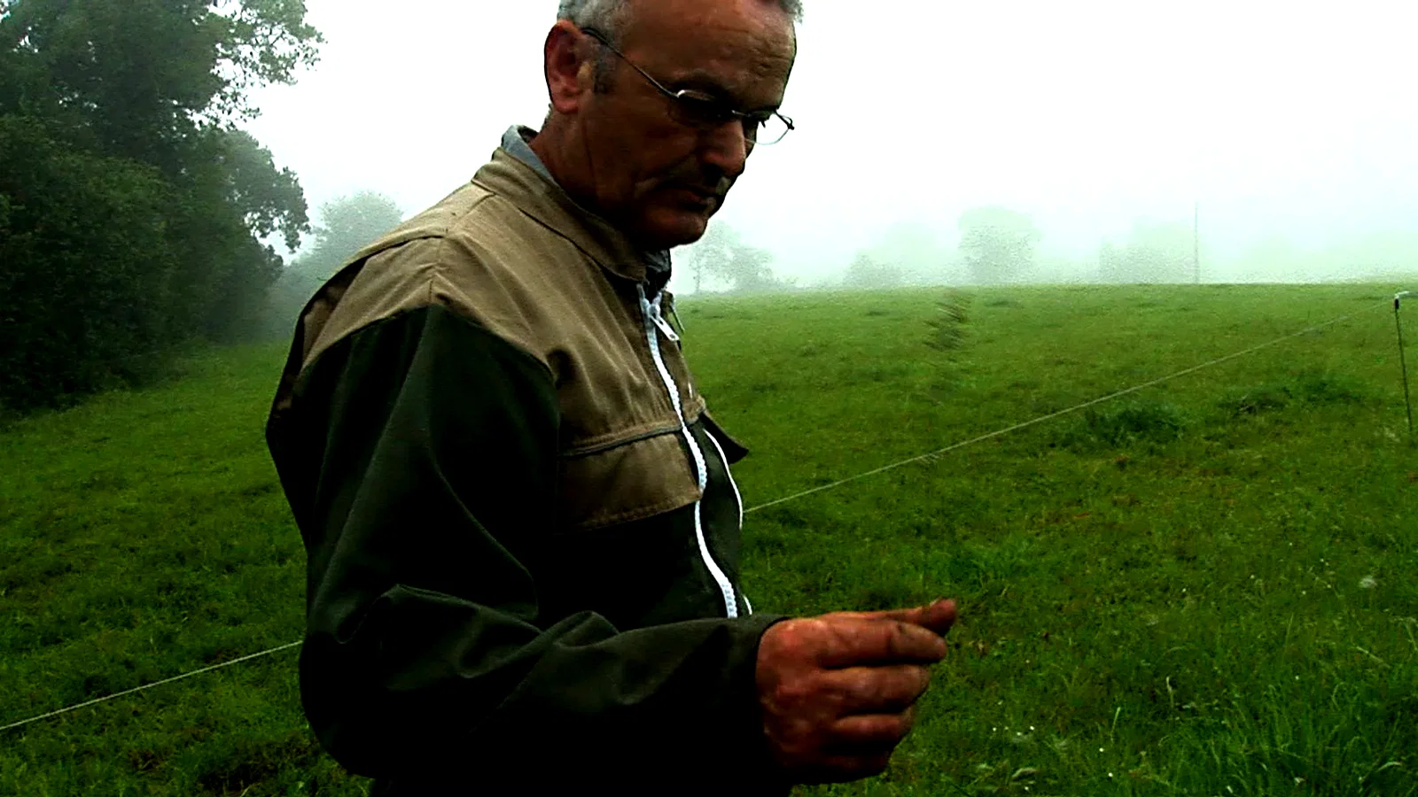 Photo 8 du film : Herbe, le film