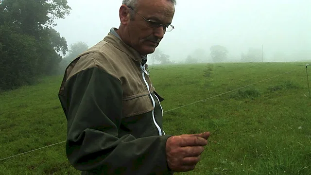Photo 8 du film : Herbe, le film