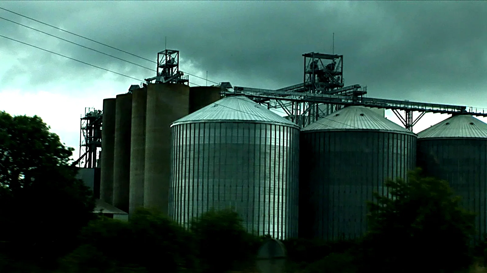 Photo 7 du film : Herbe, le film