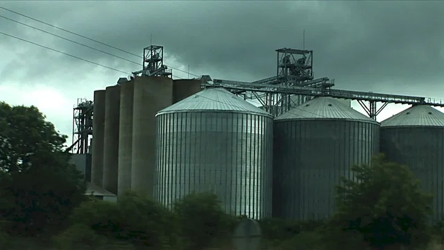 Photo 7 du film : Herbe, le film