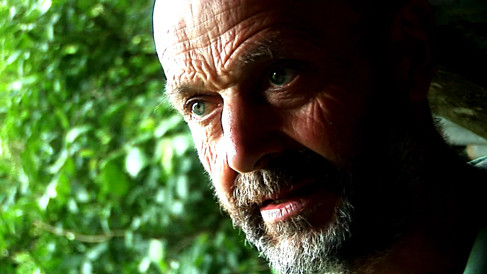Photo 9 du film : Herbe, le film