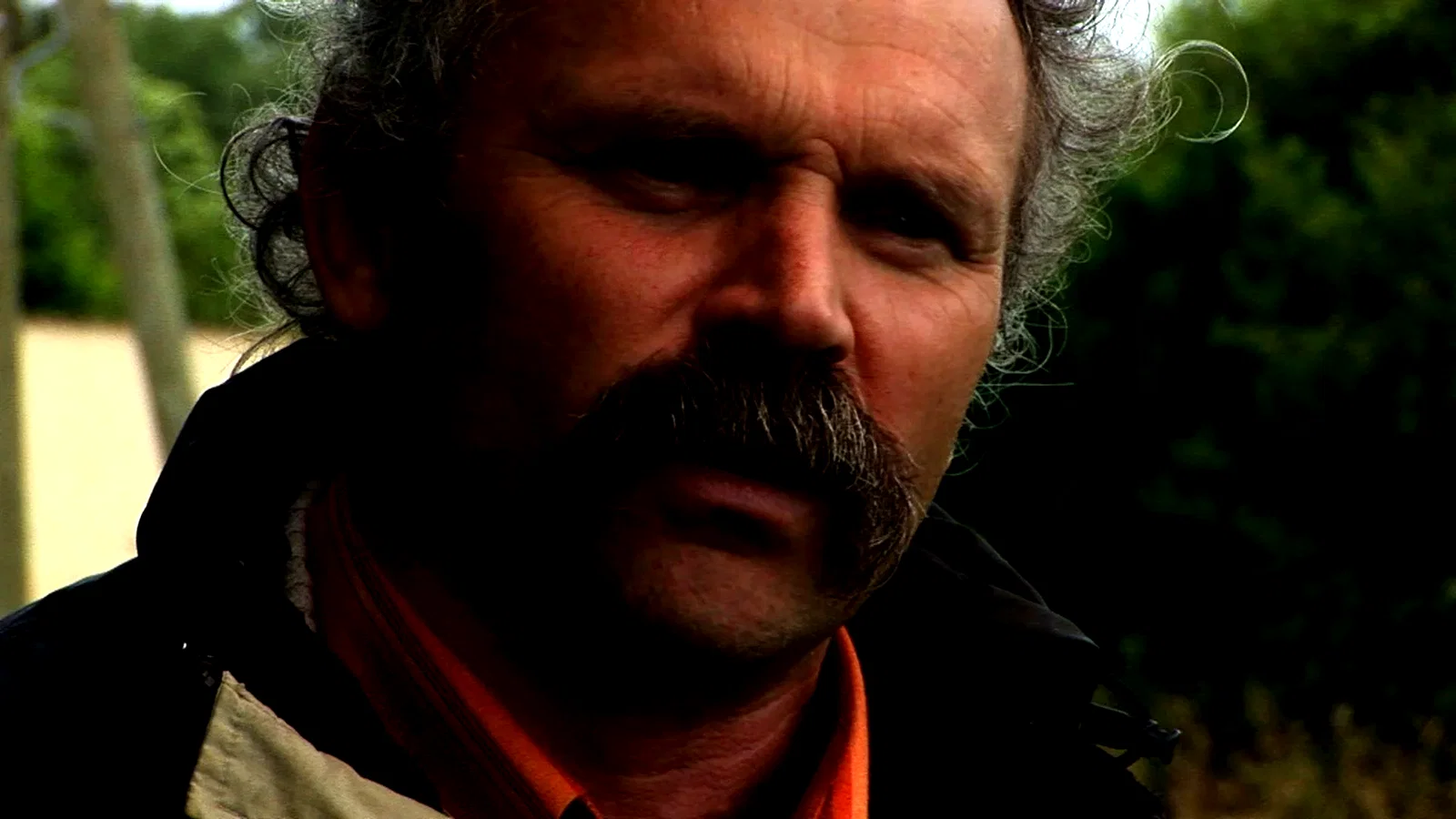 Photo 10 du film : Herbe, le film
