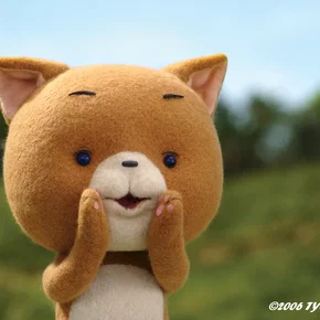 Photo du film : Le petit chat curieux (Komaneko)