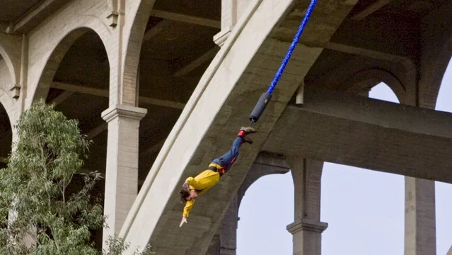 Photo du film : Yes Man