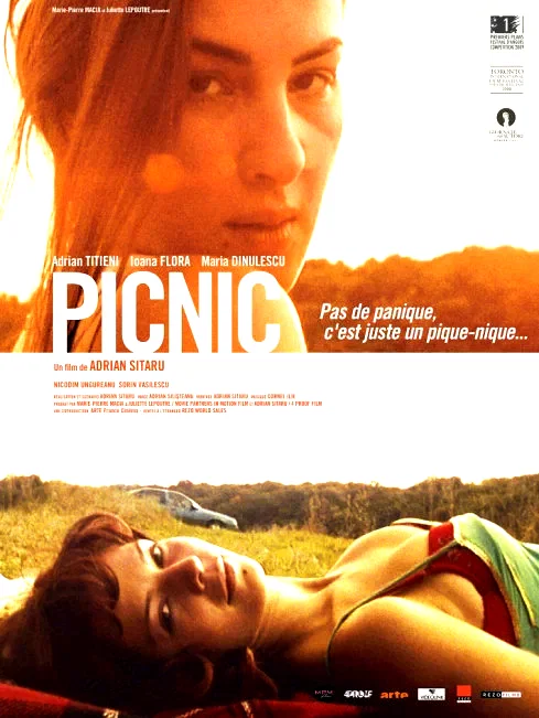 Affiche du film : Picnic
