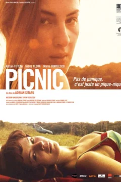 Affiche du film Picnic