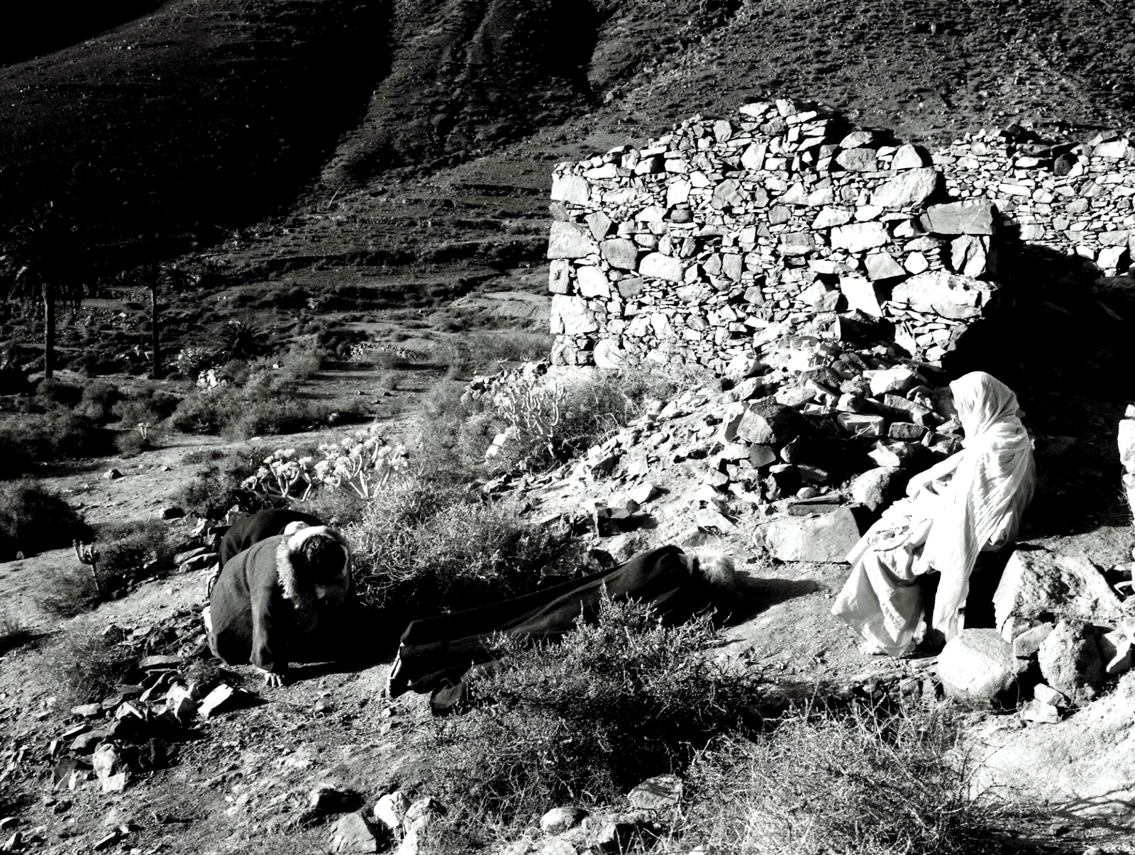 Photo 9 du film : Le Chant des oiseaux